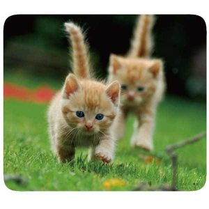 Podloga za miš VIVANCO Pets, 4 motiva