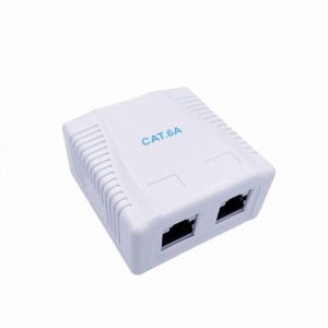 Gembird CAT6A FTP 2-port surface mount box