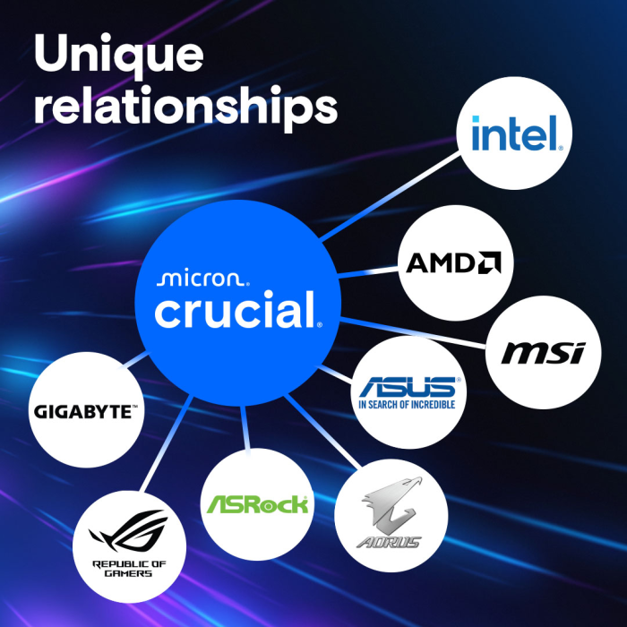 Crucial Pro 24GB DDR5-5600 UDIMM CL46, 1.1V - Slika 6